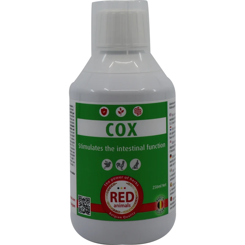 Cox (santé Intestinale) 250ml - Red Animals 3 Cox (santé Intestinale) 250ml - Red Animals