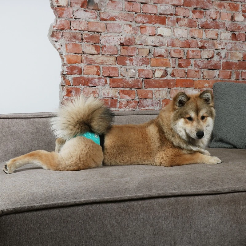 Culotte De Chaleurs 2pièces XXL 60-70cm - Duvo+ 7 Culotte De Chaleurs 2pièces XXL 60-70cm - Duvo+ – Image 5