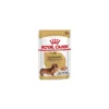 Dachshund 12x85gr - Royal Canin -Promos Vivariux Magasin dachshund 12x85gr royal canin 1239612 12x royal canin aliment pour teckel des de 10 mois est specialement adaptee aux besoins de