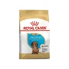 Dachshund Puppy 1,5kg - Royal Canin -Promos Vivariux Magasin dachshund puppy 15kg royal canin 1239065 royal canin aliment complet pour chiot teckel jusqua 10 mois specialement concu pour re