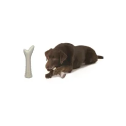 Deerhorni Avec Du Bois De Cerf L 20cm - Petstages