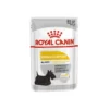 Dermacomfort 12x85gr - Royal Canin 1 Dermacomfort 12x85gr - Royal Canin -Promos Vivariux Magasin dermacomfort 12x85gr royal canin 1259889 12x royal canin aliment complet pour chiens pour chiens adultes de plus de 10 mois suje