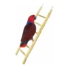Echelle Bois 60cm - Back Zoo Nature -Promos Vivariux Magasin echelle bois 60cm back zoo nature zf1122 back zoo nature lechelle java back zoo nature est une echelle 100 naturelle sur laquell