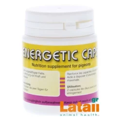 Energetic 80caps - Bifs