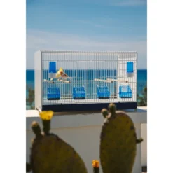 Ensemble De 4 Cages 60x33x33cm Avec Chariot ART.90 - Modèle Einstein - Italgabbie -Promos Vivariux Magasin ensemble de 4 cages 60x33x33cm avec chariot art90 modele einstein italgabbie art90 4 t italgabbie ensemble de 4 cages a tiroirs 1 1