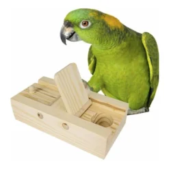 Flaps D'entraînement Cérébral 17,5x8cm - Back Zoo Nature