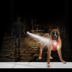 Flashlight Harnais Avec Laisse L-120x55-70cm/25mm - Duvo+ -Promos Vivariux Magasin flashlight harnais avec laisse l 120x55 70cm 25mm duvo 11807 duvo specifications lumiere led 3 options sur la poitrine laisse qu 1