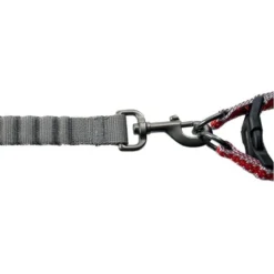 Flashlight Harnais Avec Laisse S-120x35-45cm/15mm - Duvo+ -Promos Vivariux Magasin flashlight harnais avec laisse s 120x35 45cm 15mm duvo 11805 duvo specifications lumiere led 3 options sur la poitrine laisse qu 2