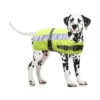 Flectacoat Manteau Pour Chien Jaune 35cm - Duvo+ -Promos Vivariux Magasin flectacoat manteau pour chien jaune 35cm duvo 4195703 duvo specifications manteau a isolation thermique flectalonr un materiau i