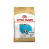 French Bulldog Puppy 3kg - Royal Canin -Promos Vivariux Magasin french bulldog puppy 3kg royal canin 1238064 royal canin aliment complet pour chiens specialement pour chiot bouledogue francais