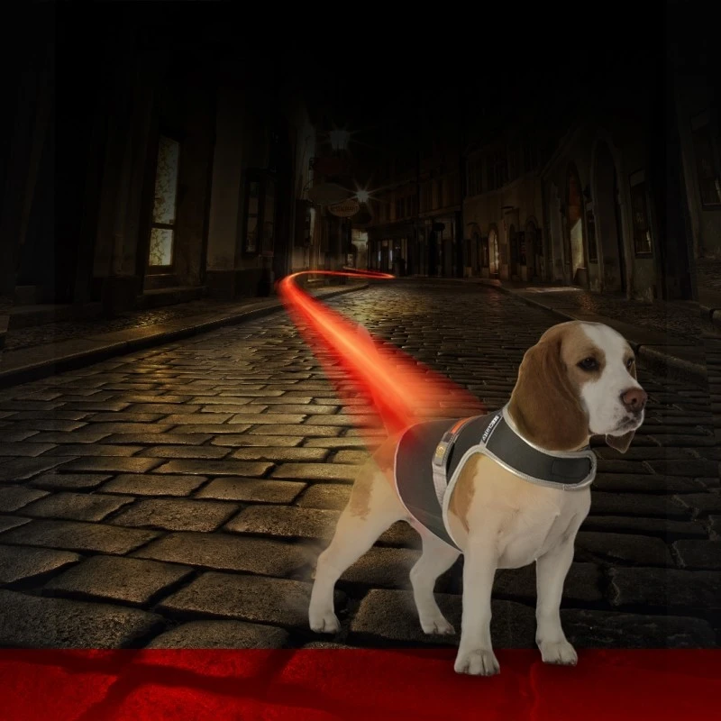 Gilet De Sécurité Fluo Flash USB Noir Medium - Duvo+ 4 Gilet De Sécurité Fluo Flash USB Noir Medium - Duvo+ – Image 2