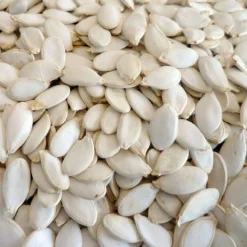 Graines De Citrouille 25KG - Duvo -Promos Vivariux Magasin graines de citrouille 25kg duvo 364 duvo graines de citrouille 25kg duvo 1