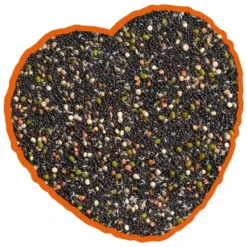 Graines De Germination Mix 20kg - Duvo+ -Promos Vivariux Magasin graines de germination mix 20kg duvo 12306 duvo specifications alimentation delicieuse et equilibree pleine de graines nutritive 1