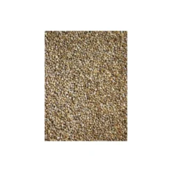 Graines D'épinard 15kg - Grizo