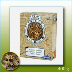 Grillons (insectes Congelés) 400gr - Top Insect -Promos Vivariux Magasin grillons insectes congeles 400gr top insect topins gril nusect top insect les grillons etant des produits congeles ceuxi ci sont 1