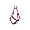 Harnais Basic Confort Fushia 40mm 96/120cm - Wouapy -Promos Vivariux Magasin harnais basic confort fushia 40mm 96 120cm wouapy 312583000 wouapy harnais basic confort fushia 40mm 96 120cm wouapy