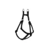 Harnais Basic Confort Noir 40mm 96/120cm - Wouapy -Promos Vivariux Magasin harnais basic confort noir 40mm 96 120cm wouapy 312538000 wouapy harnais basic confort noir 40mm 96 120cm wouapy