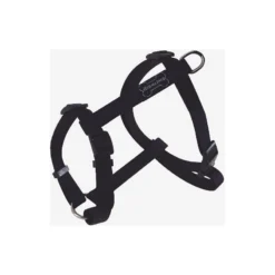 Harnais Basic Line Noir 40mm 74/117cm - Wouapy