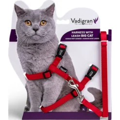 Harnais+Laisse Grand Chat Rouge 34/57cm+120cm - Vadigran