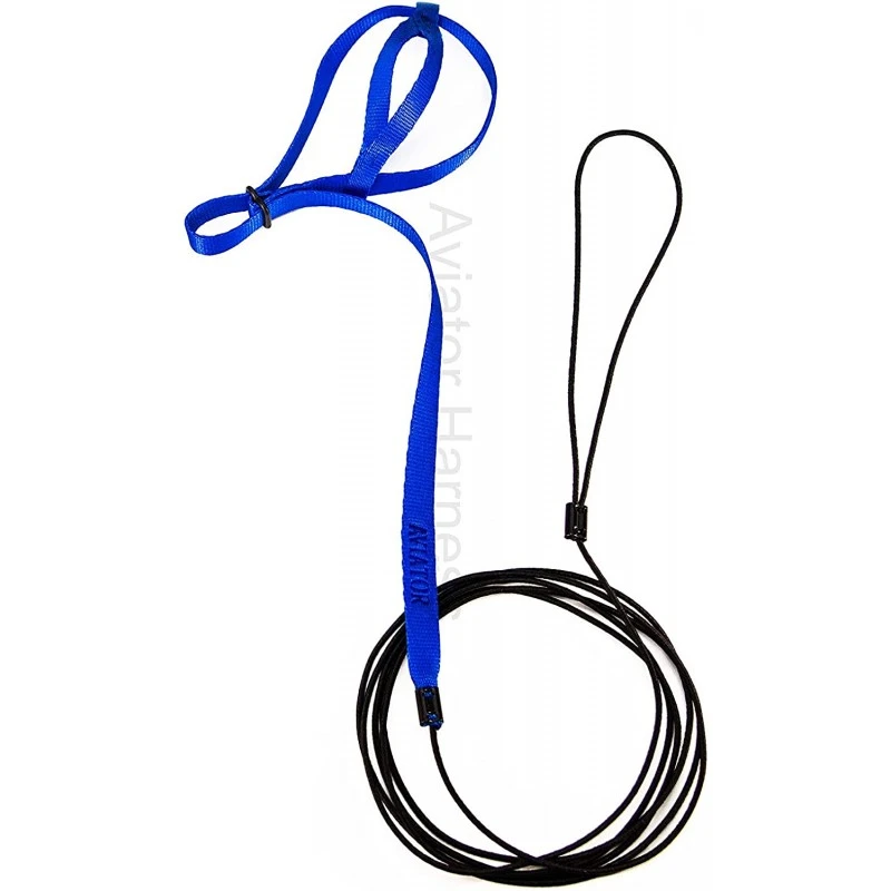 Harnais Pour Perroquet AVIATOR Medium Bleu 4 Harnais Pour Perroquet AVIATOR Medium Bleu – Image 2