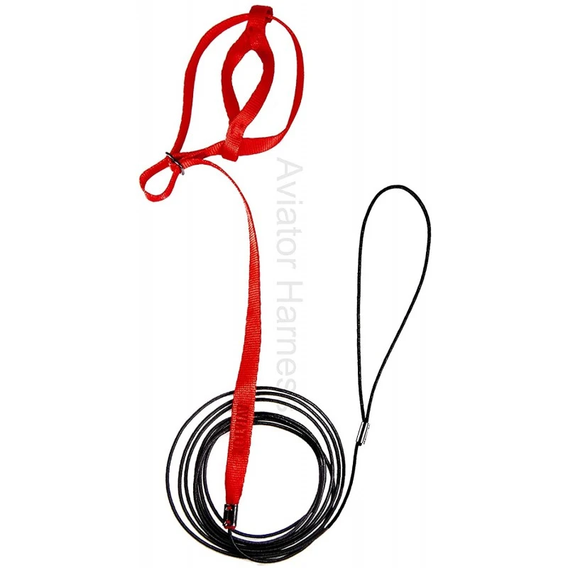 Harnais Pour Perroquet AVIATOR Medium Rouge 4 Harnais Pour Perroquet AVIATOR Medium Rouge – Image 2
