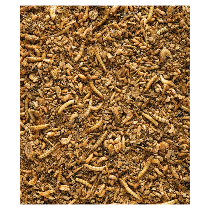 Insect Patée Premium Aliment Complet Pour Oiseaux Insectivores 10kg - Nutribird 4 Insect Patée Premium Aliment Complet Pour Oiseaux Insectivores 10kg - Nutribird – Image 2