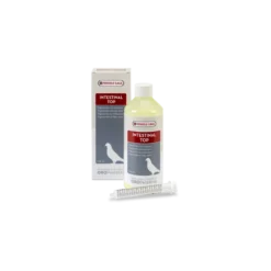 Intestinal-Top 500ml Acides Gras - Oropharma