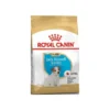 Jack Russell Terrier Puppy 3kg - Royal Canin -Promos Vivariux Magasin jack russell terrier puppy 3kg royal canin 1238083 royal canin aliment complet pour chiens specialement pour chiot jack russell