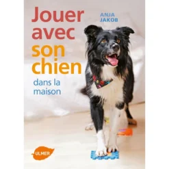 Jouer Avec Son Chien Dans La Maison Tours, Jeux Et Activités Ludiques - Anja JAKOB