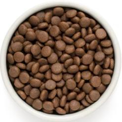 Junior - Agneau Et Dinde 10kg - Grandorf -Promos Vivariux Magasin junior agneau et dinde 10kg grandorf gddd0210 grandorf pour les juniors a partir de 4 mois les chiennes gestantes ou allaitantes 1