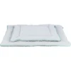 Junior Matelas Gris Clair/Menthe 50x40cm - Trixie -Promos Vivariux Magasin junior matelas gris clair menthe 50x40cm trixie 38248 trixie junior matelas en matiere sweat peluche couverture en polyester rem