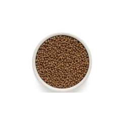 Kitten - Agneau Et Dinde 2kg - Grandorf -Promos Vivariux Magasin kitten agneau et dinde 2kg grandorf gdcd0102 grandorf pour les chaton a partir de 3 semaines chattes enceintes et allaitanteside 1
