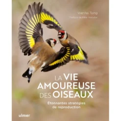 La Vie Amoureuse Des Oiseaux Étonnantes Stratégies De Reproduction - Wenfei TONG& Mike WEBSTER