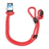 Laisse De Dressage Rouge 183cm/12mm - Duvo+ -Promos Vivariux Magasin laisse de dressage rouge 183cm 12mm duvo 5001237 duvo specifications nylon taille ajustable securise descriptionla laisse etrang