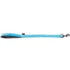 Laisse Nylon Double 25mm-60cm Turquoise - Martin Sellier -Promos Vivariux Magasin laisse nylon double 25mm 60cm turquoise martin sellier ms121279 martin sellier