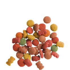 Lara Adult Beef Flavour 10kg - Croquettes Délicieuses Au Bœuf - Chats Adultes -Promos Vivariux Magasin lara adult beef flavour 10kg croquettes delicieuses au boeuf chats adultes 441062 versele laga croquettes deliceuses au gout de 1 1