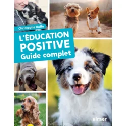 L'éducation Positive Guide Complet - Christophe DUFFO