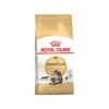 Maine Coon Adult 2kg - Royal Canin -Promos Vivariux Magasin maine coon adult 2kg royal canin 1250803 royal canin aliment complet et equilibre pour chats special chats adultes maine coon a