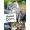 Maine Coon Comportements, Soins, Socialisation - Florence DESACHY & Phillippe ROCHER 1 Maine Coon Comportements, Soins, Socialisation - Florence DESACHY & Phillippe ROCHER -Promos Vivariux Magasin maine coon comportements soins socialisation florence desachy phillippe rocher 9221057 ulmer maine cooncomportements soins socia