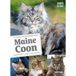 Maine Coon Comportements, Soins, Socialisation - Florence DESACHY & Phillippe ROCHER