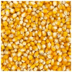 Maïs Français 20kg - Grizo