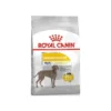 Maxi DermaComfort 12kg - Royal Canin -Promos Vivariux Magasin maxi dermacomfort 12kg royal canin 1235211 royal canin aliment complet pour chiens adultes et matures de grandes races de 26 a 4