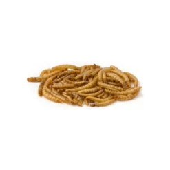 Mealworm, Vers De Farine Déshydratés 5kg