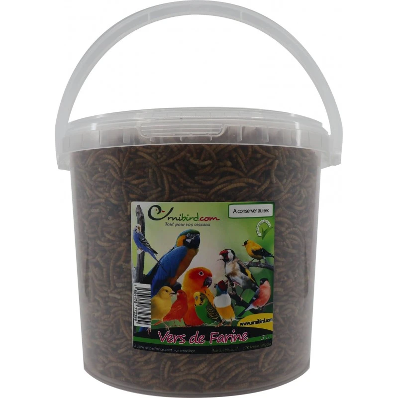Mealworm, Vers De Farine Déshydratés, Seau De 5L - Ornibird 3 Mealworm, Vers De Farine Déshydratés, Seau De 5L - Ornibird