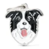 Médaille Chien Border Collie -Promos Vivariux Magasin medaille chien border collie mf03n my family