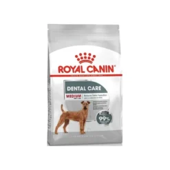 Medium Dental Care 10kg - Royal Canin