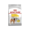 Medium DermaComfort 12kg - Royal Canin -Promos Vivariux Magasin medium dermacomfort 12kg royal canin 1233012 royal canin aliment complet pour chiens adultes et matures de races moyennes de 11