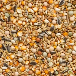 Mélange Repos / Hiver 25kg - Beyers 5 Mélange Repos / Hiver 25kg - Beyers -Promos Vivariux Magasin melange repos hiver 25kg beyers 004439 beyers beyers melange repos hivermelange de base pour pigeons en periode hivernale contie 1