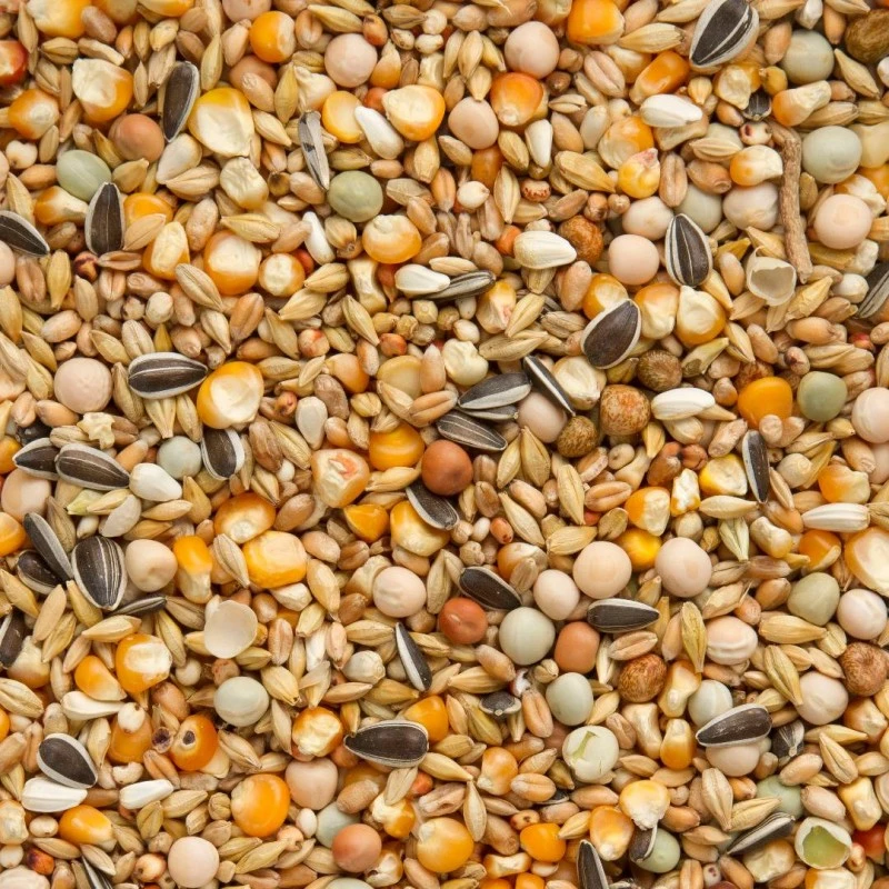 Mélange Repos / Hiver 25kg - Beyers 4 Mélange Repos / Hiver 25kg - Beyers – Image 2