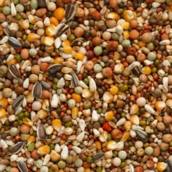 Mélanges Olympia 47 - Olympia Elevage & Sport Spécial 25kg - Beyers -Promos Vivariux Magasin melanges olympia 47 olympia elevage sport special 25kg beyers 004470 beyers beyers melanges olympia elevage sport specialmelange 1